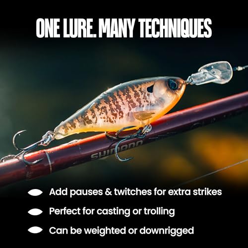 Headbanger Cranky Shad Slow-Sink Hard Lure (2-1/2", 3", 4" & 5") – Patented Erratic “Headbanging” Action Crankbait for Freshwater Bass, Walleye & Perch – 1/3 oz with Premium VMC Hooks - color: Natural Shad, size: 3"
