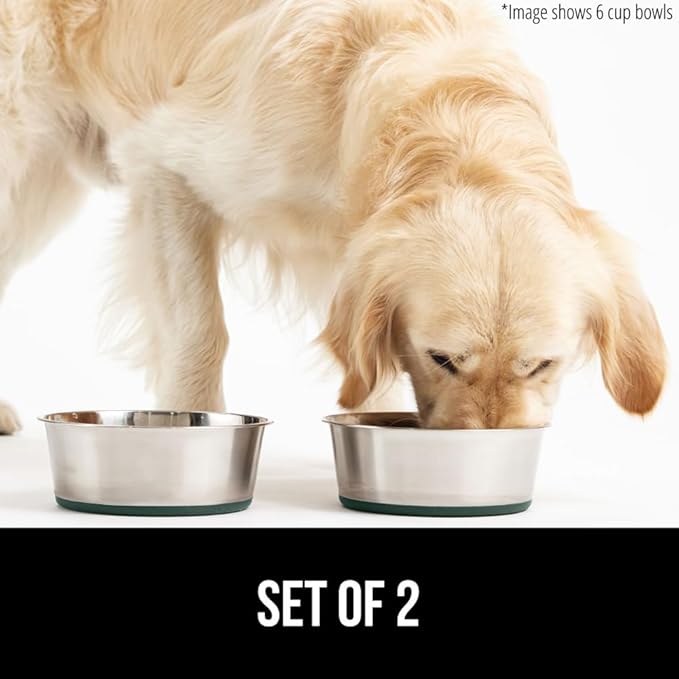 GORILLA GRIP Dog Bowls, Holds 2 Cups Each (16 fl oz), Heavy Duty Stainless Steel Food and Water Bowl for Feeding Dogs and Cats, Dishwasher Safe, Rust Resistant, BPA Free Rubber Base, Set of 2 Green