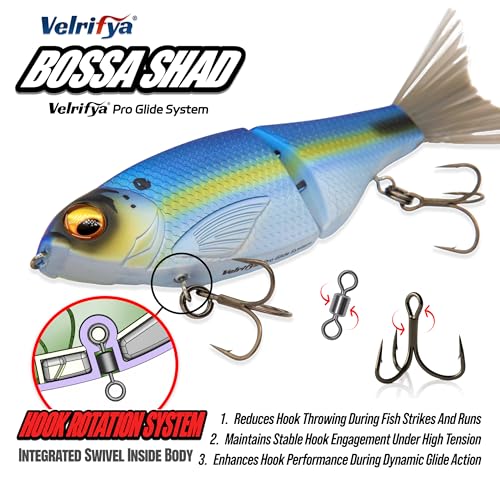 Bossa Shad Multi-Jointed Swimbait – Realistic Shad Profile with Natural Swimming Action for Bass Fishing - color: 04-Tiger Perch