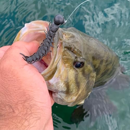 Great Lakes Finesse Juicy Hellgrammite - color: Matte Black