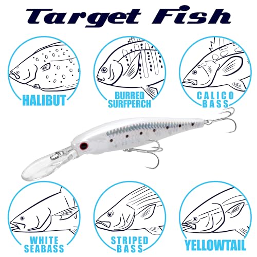 LUCKY CRAFT Pointer 100DD-S, Saltwater Surf Fishing Lures, Jerkbait, Halibut, Surf Perch, Calico Bass, White Seabass, Striped Bass, Sinking, Fishing Gear - color: 358 Sexy Geisha Queen Sardine