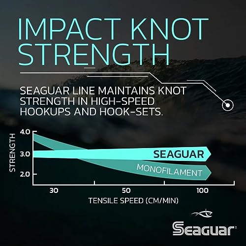 Seaguar Blue Label Fishing Leader Line for Saltwater, 100% Fluorocarbon, Clear, Multiple Sizes - size: 4lbs/25yds