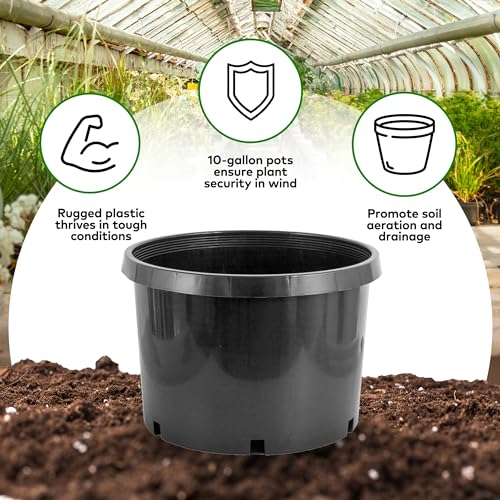 Pro Cal 10 Gallon Premium Nursery Plastic Planter Flower Herb Vegetable Garden Grow Pots with Drainage Holes for Outdoor and Indoor Use, Black, 5 Pack
