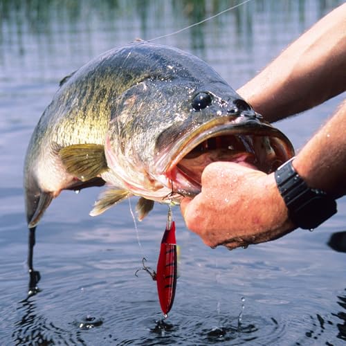 1-Pack Topwater Fishing Lures & Crankbaits Set - High-Action Popper Bass Lures with Rotating Tail, Saltwater/Freshwater Hard Baits for Trout, Pike, Catfish | Vibrating Lure Kit with Storage Box - color: dark red