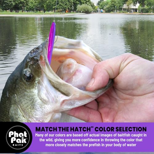 Phat Pak Baits - Slinky Worm Zoom Trick Worm Style Straight Tail Floating Worm Bass Fishing Lure 20ct 6.5" - color: Junebug Flash