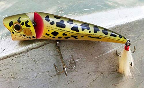 Creek Chub Knuckle Head Jointed Topwater Fishing Lure with Chugging and Popping Action - color: Chrome/Blue Back