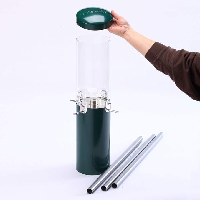 Birds Choice Classic Squirrel Proof Bird Feeder with Pole Mount | Tube Bird Feeder for Cardinals, Chickadees, Woodpeckers | Sturdy Steel for Long-Lasting Use | Backyard Birdseed Dispenser | Green