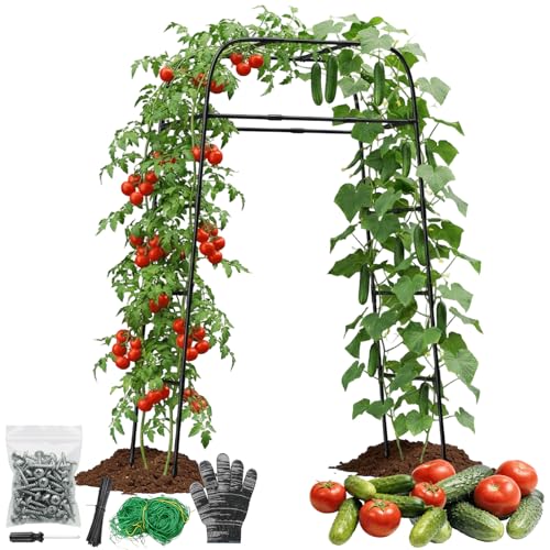 Garden Arch Trellis for Climbing Plants, 83" High Metal Cucumber Trellis & Tomato Cage, Rustproof Steel Tunnel Support for Squash, Pumpkin, Vegetables with Screw Fixation (32.3" L x 39.4" W)