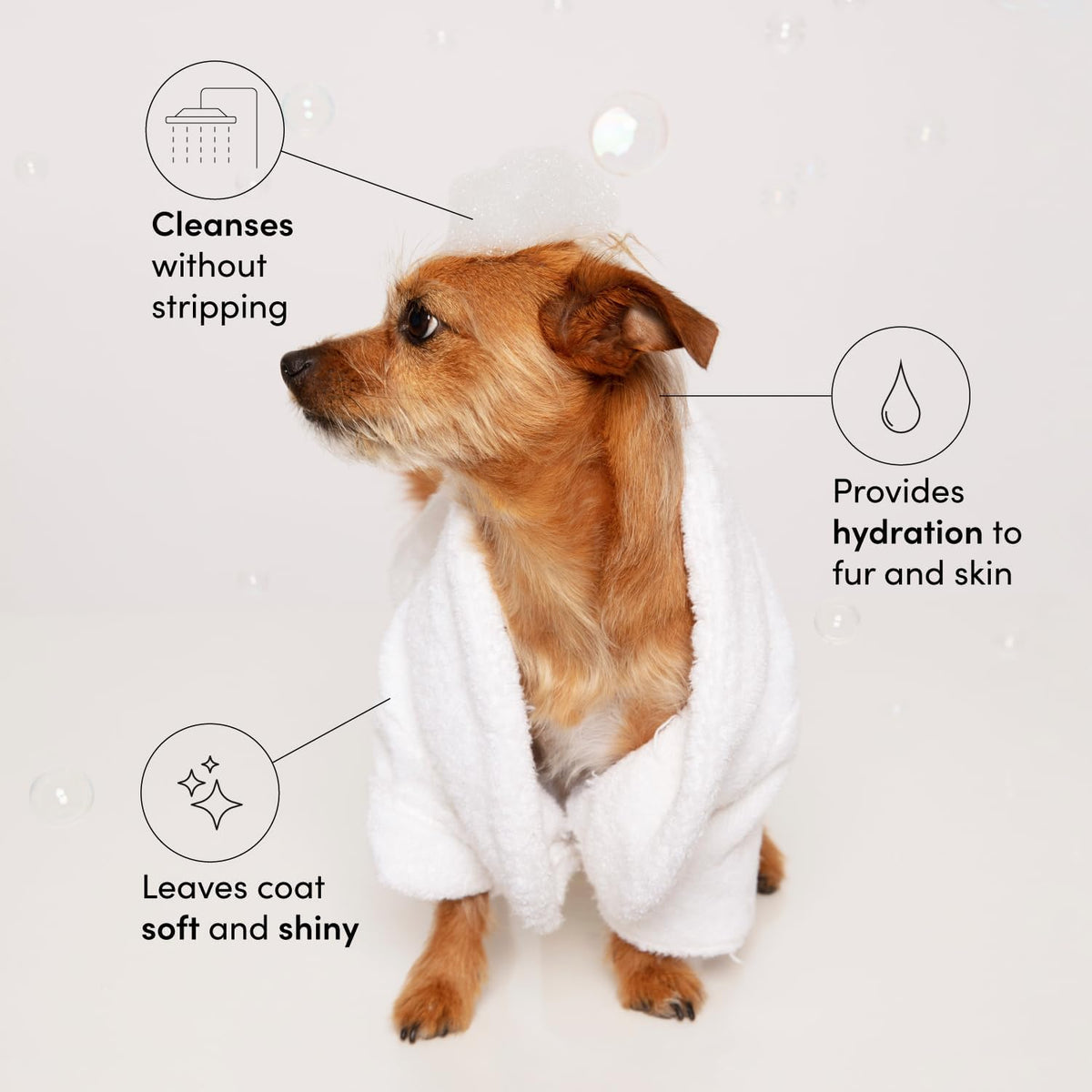 OUAI Fur Bébé Pet Shampoo, Mercer Street Scent - Dog Shampoo and Coat Wash for Hydrating, Cleansing and Adding Shine - Pet Supplies by OUAI (16 Fl Oz)