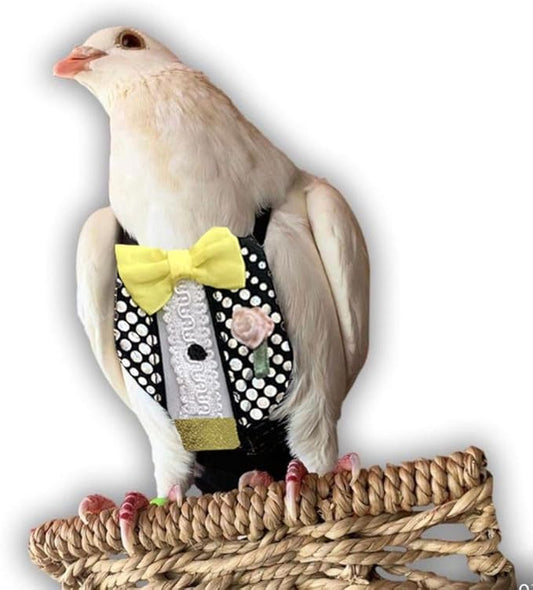 Bev's Bird Boutique Regular Flyper Adjustable Bird Diaper | Reusable, Washable Cloth | Comfort Fit for Parrot, Cockatiels, & Other Small Birds | Fashionable Avian Accessories, Retro Tux, Size 16