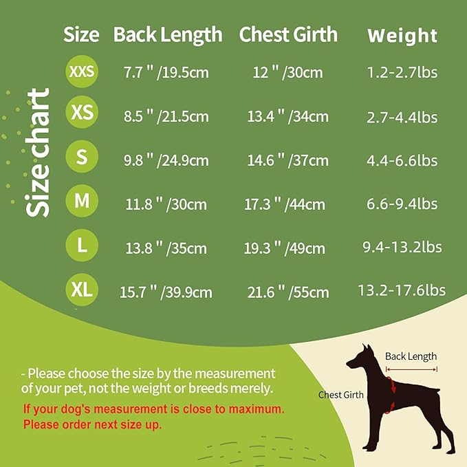 Dog Costume, Custom Dog Hoodie, Dog Name Costume Holiday Pet Pajamas Outfit, Personalized Pet Coat Costumes for Small Medium Large Dogs and Cats for Winter, Gold, XXS