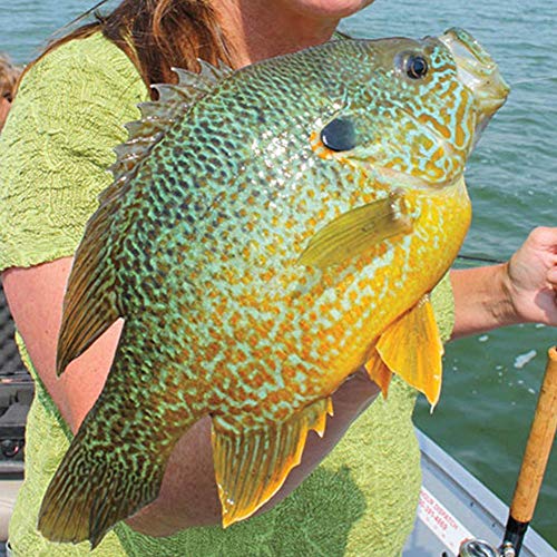 YZD Silverside Minnow Crappie Jig 12pcs - color: 05 3Color Mix