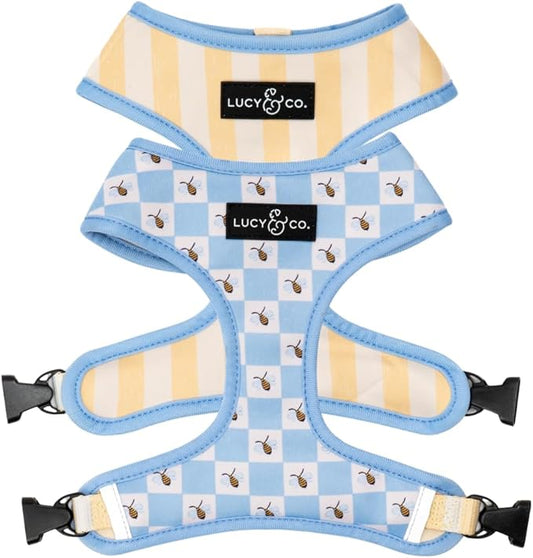 Lucy & Co. Bumbling Around Reversible Dog Harness, Adjustable Comfort Fit with Dual Leash Attachments, Small