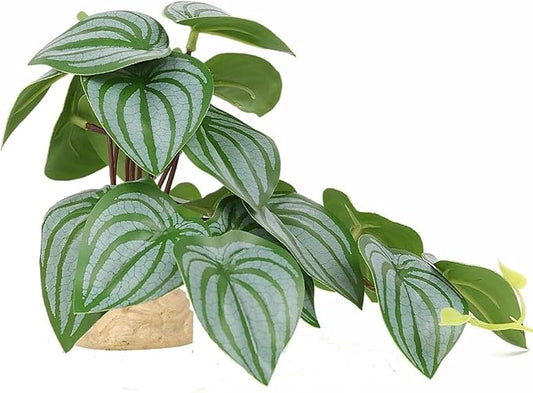 Reptile Plants for Terrarium Decor,Amphibian Habitat Decor,Artificial Plants for Gecko Chameleon Snake Tortoise Tank Accessories with Base (Green Watermelon peperomia)