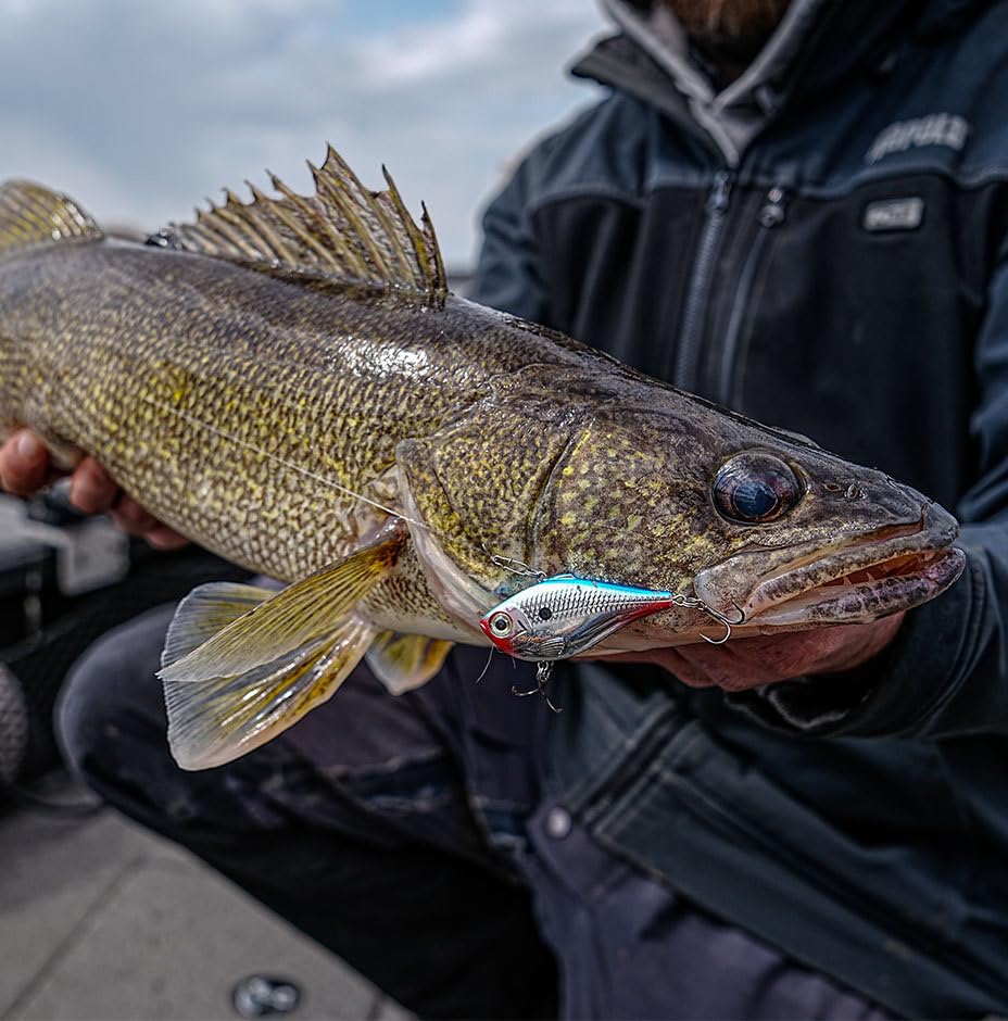 Rapala Rapala Rippin ' Rap - color: Chrome Moss Back Shiner, size: 2-3/4"