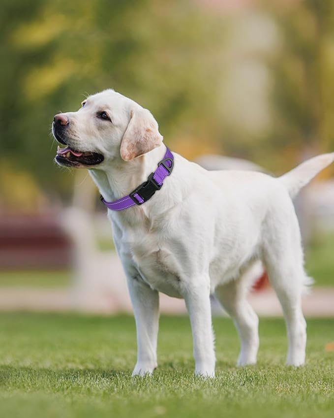 Joytale Large Dog Collar, Reflective and Adjustable Nylon Pet Collar with Quick-Release Buckle for Extra Large Dogs, Purple, XL