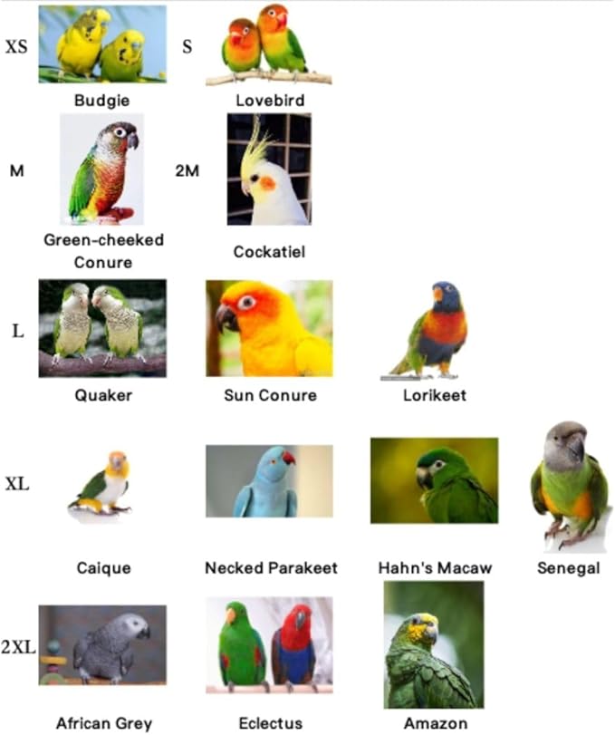 Bird Flight Harness Vest, Parrot Flight Suit with Leash, Bird Flying Clothes with Rope and Handle for Outdoor Activities (M)