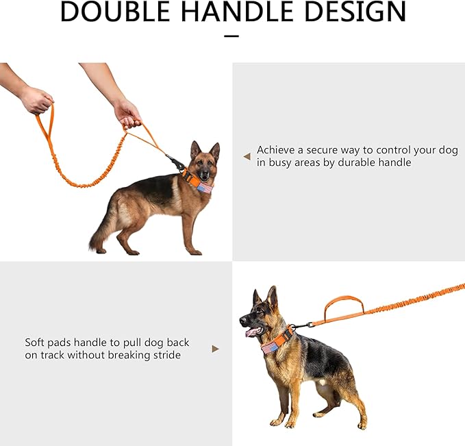 DAGANXI Tactical Dog Collar, Adjustable Military Training Nylon Dog Collar with Control Handle and Heavy Metal Buckle for Medium and Large Dogs, with Patches and Airtags Case (Orange-Set, XL)