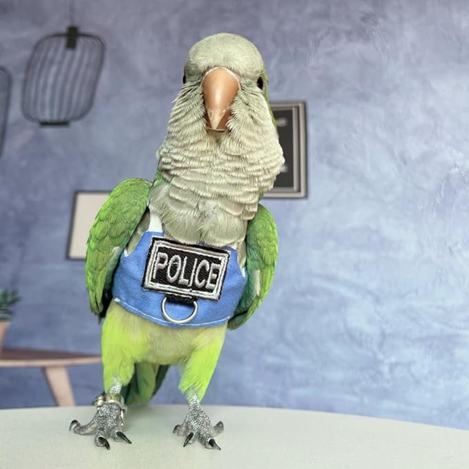 Bird Flight Harness Vest, Parrot Flight Suit with Leash, Bird Flying Clothes with Rope and Handle for Outdoor Activities (with Leash,Green-cheeked Conure)