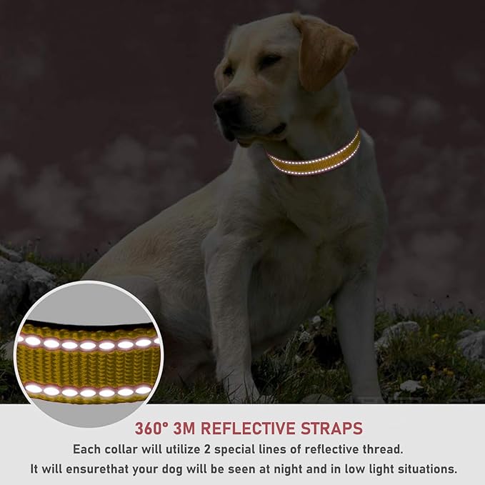 Reflective Dog Collar with Buckle Adjustable Safety Nylon Collars for Small Medium Large Dogs, Brown XL