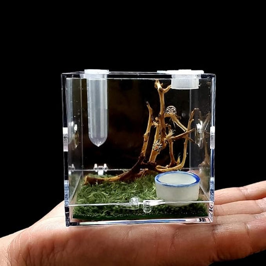 Spider Terrarium, Acrylic Reptile Breeding Box Jumping Spider Enclosure with Dropper Tongs Snail cage, Cricket Enclosure arboreal Tarantula Habitat