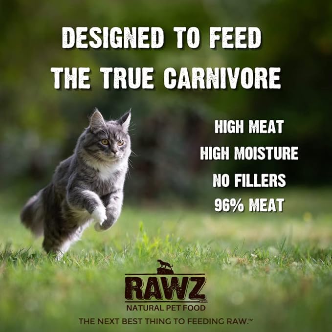 Rawz Natural Premium Pate Canned Cat Wet Food - Made with Real Meat Ingredients No BPA or Gums - 5.5oz Cans 24 Count (Salmon)