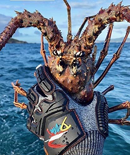 D Vein Lobster Diving Gloves, Cut & Puncture Resistant for Spearfishing - size: Medium