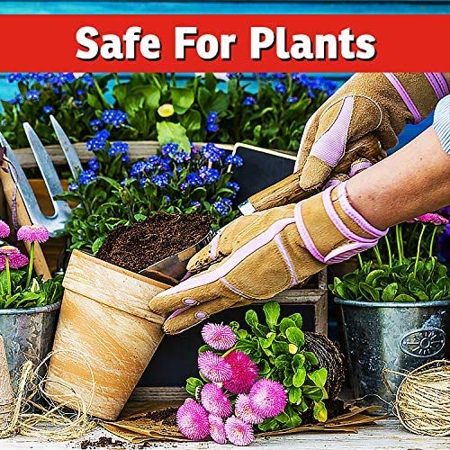 I Must Garden Deer Repellent - Ready to Use (2 Pack - 32oz RTU) - size: 32 Fl Oz (Pack of 2)