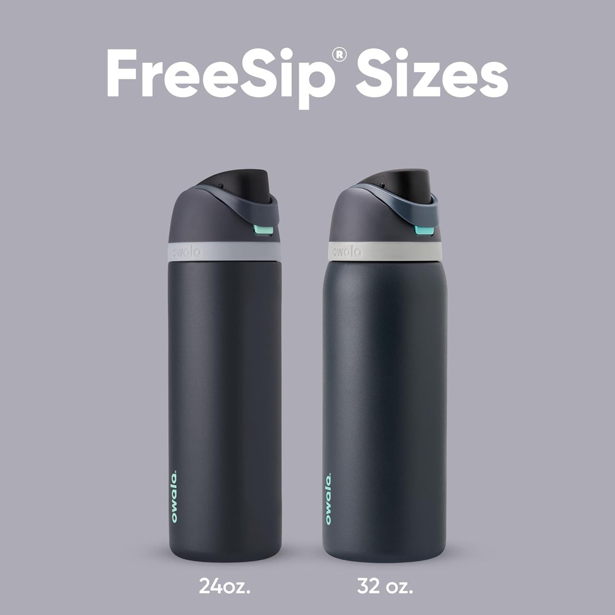 Owala FreeSip Insulated Stainless Steel Water Bottle with Straw for Sports, Travel, and School BPA-Free Sports Water Bottle, 32 oz, Foggy Tide