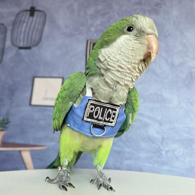 Bird Flight Harness Vest, Parrot Flight Suit with Leash, Bird Flying Clothes with Rope and Handle for Outdoor Activities (Without Leash,Blue Quaker)