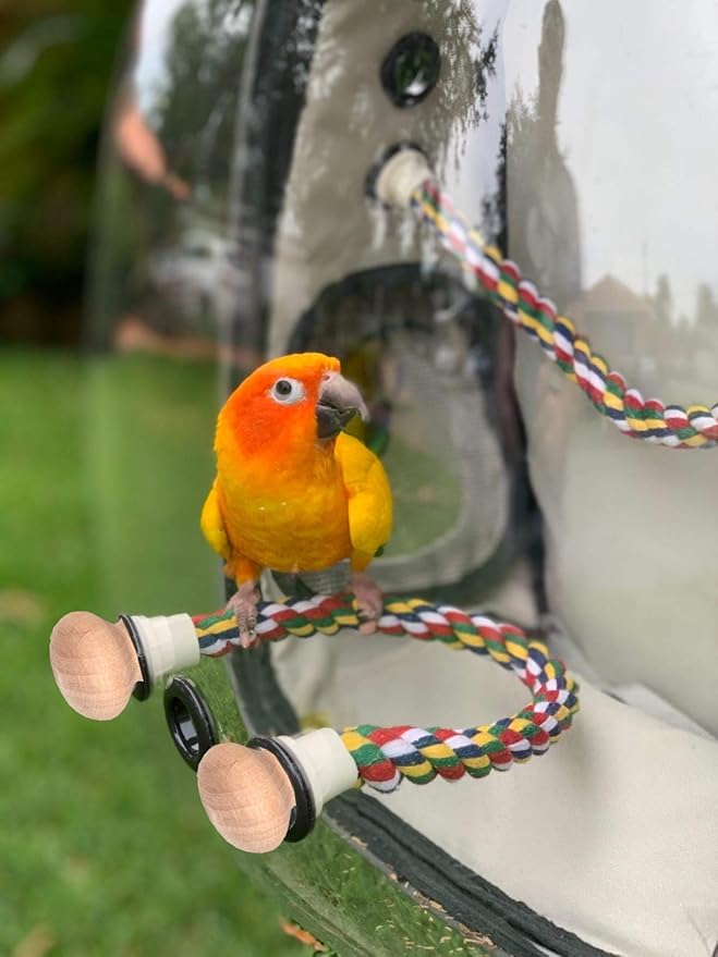 halinfer Bird Traval Carrier Cage, Polarized Tinted Brown Space Capsule Astronaut Backpack to Carry Parakeet Cockatiel Parrot with Metal Tray Wood Perch, Vet Transport Bag