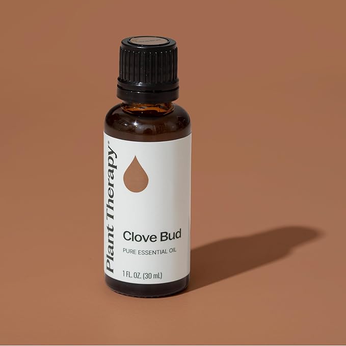 Plant Therapy Clove Bud Essential Oil 100% Pure, Undiluted, Natural Aromatherapy, Therapeutic Grade 30 ml (1 oz)