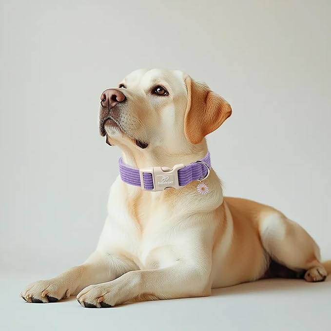 Cute Corduroy Dog Collar - Lavender Adjustable Dog Collars for X-Large Dogs 80+lbs, Fade-Proof with Secure Snap & Little Charm, Christmas Birthday Gift, XL