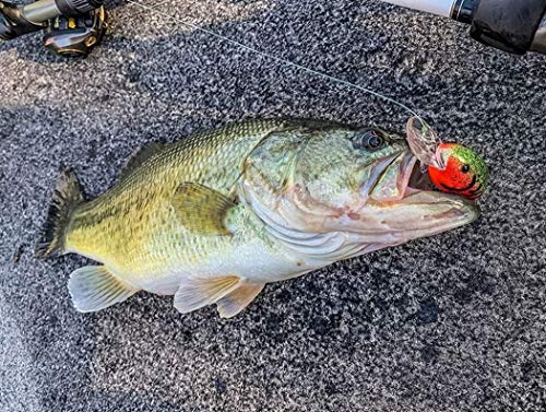Bandit Lures BDT3D Series 300 - color: Hotty Totty