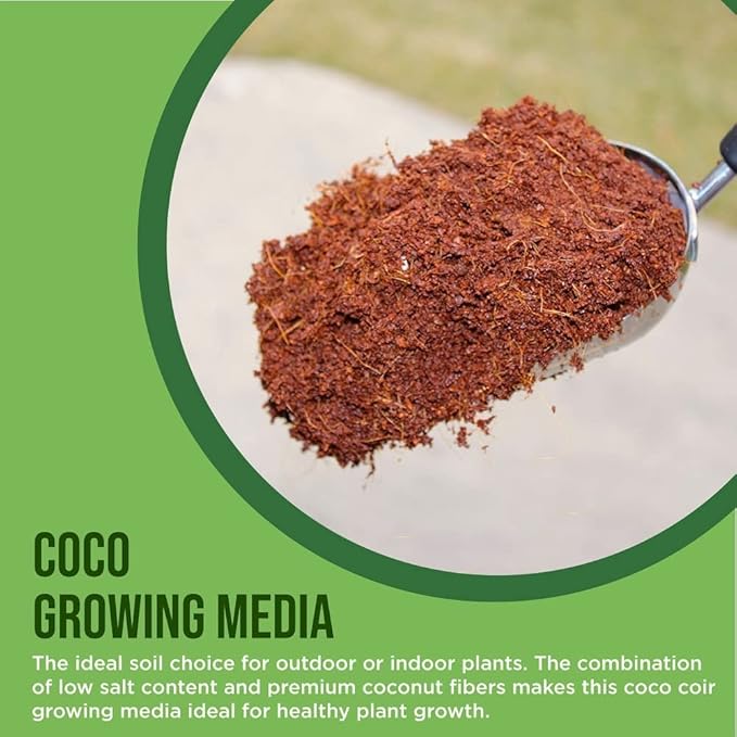 Coco Coir Husk Chips 1-Pack – 2.4 Cu. Ft. Compressed Coconut Coir Bricks, 10 lb. Natural Substrate for Indoor & Outdoor Use, Orchid Bark Alternative, Orchid Potting Mix, Indoor Plant Soil