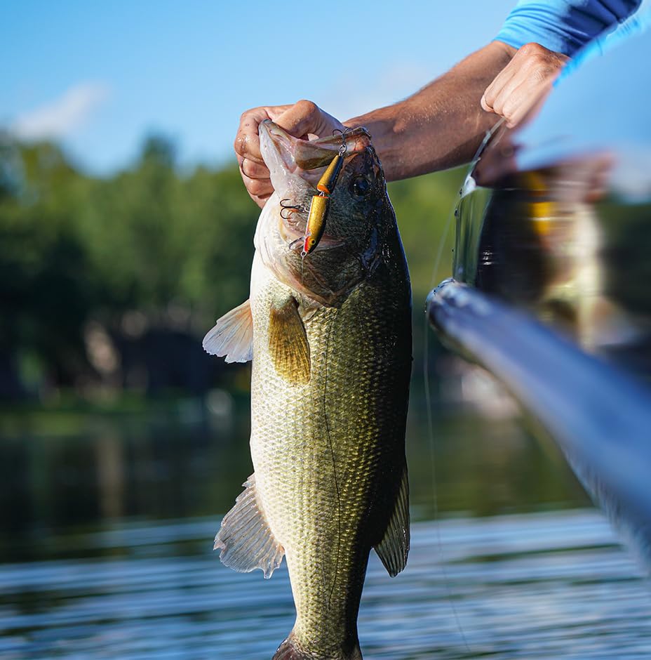 Rapala Jointedun Freshwater Lure for Trout, Salmon, Perch, Black Bass Zander and Pike, Unisex_Adult