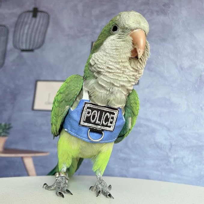 Bird Flight Harness Vest, Parrot Flight Suit with Leash, Bird Flying Clothes with Rope and Handle for Outdoor Activities (Without Leash,Lorikeet)
