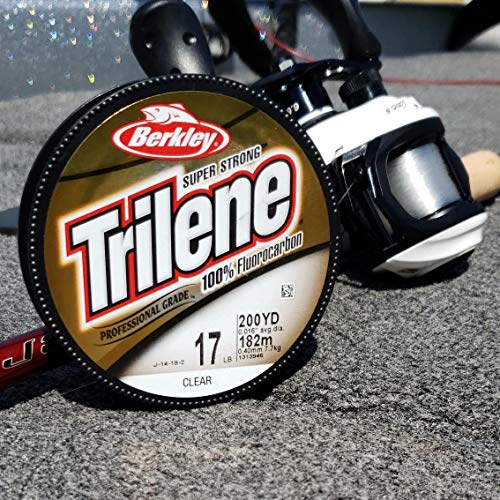 BerkleyFishing Line - size: 110-Yard/10-Pound