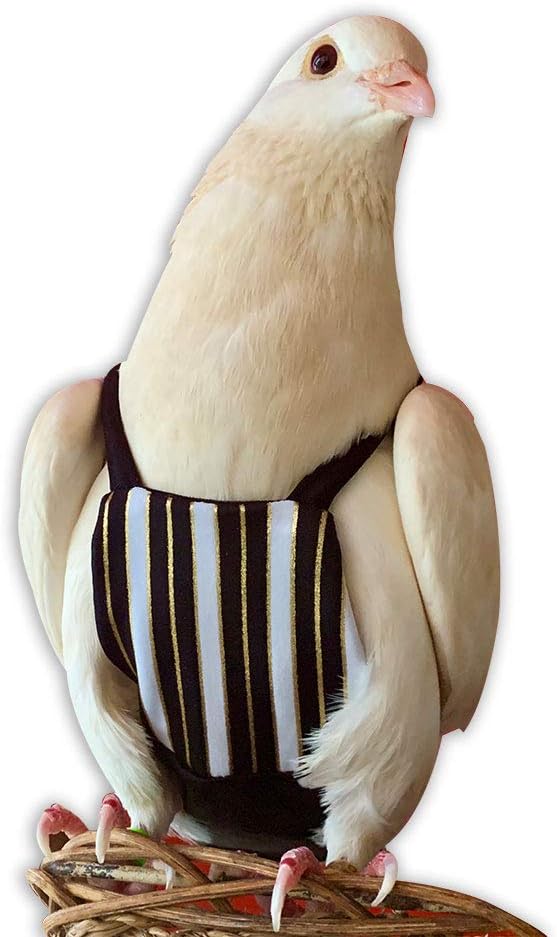 Bev's Bird Boutique Regular Flyper Adjustable Bird Diaper | Reusable, Washable Cloth | Comfort Fit for Parrot, Cockatiels, & Other Small Birds | Fashionable Avian Accessories, Regal, Size 6