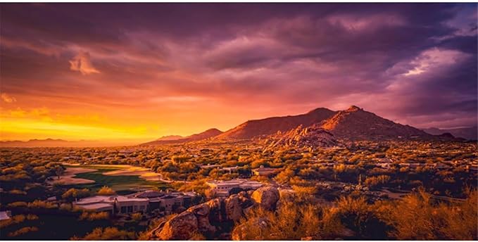 AWERT 36x24 inches Sun and Desert Terrarium Background Mountain Oasis Gobi Reptile Habitat Background Vinyl