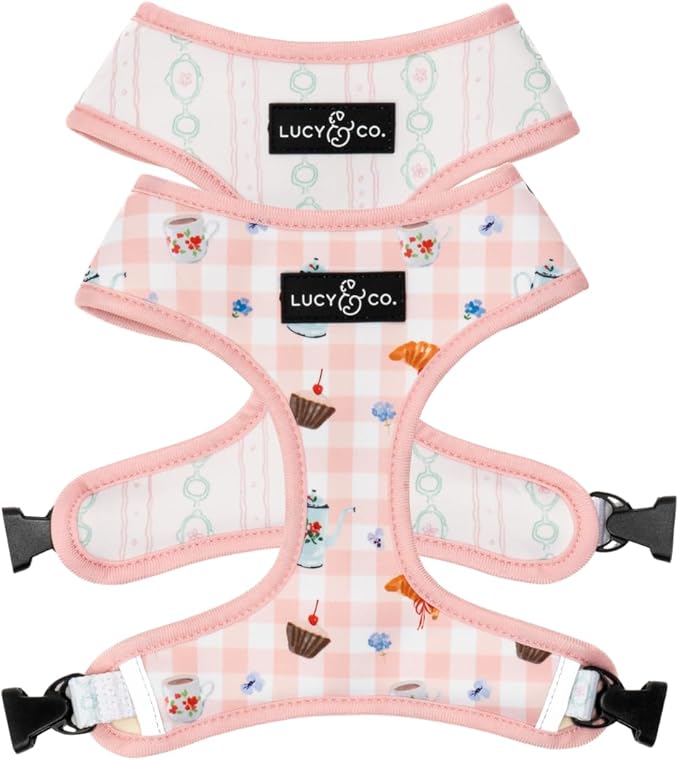 Lucy & Co. Sipping Slowly Reversible Dog Harness, Adjustable Comfort Fit with Dual Leash Attachments, Small