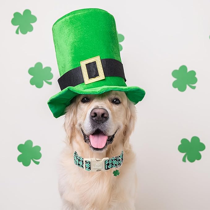 St Patricks Day Dog Collar for Small Dogs - Green Lucky Shamrock Boy Dog Collars, Irish Clover Pattern Black Male Puppy Collar with Quick Release Buckle S