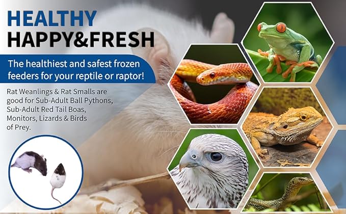 MiceDirect EST. 2003 Frozen Rat Combo Pack Rat Weanlings & Rat Smalls Feeder Snake Food for Sub-Adult Ball Pythons Monitors, 40 Ounce (20 Count)