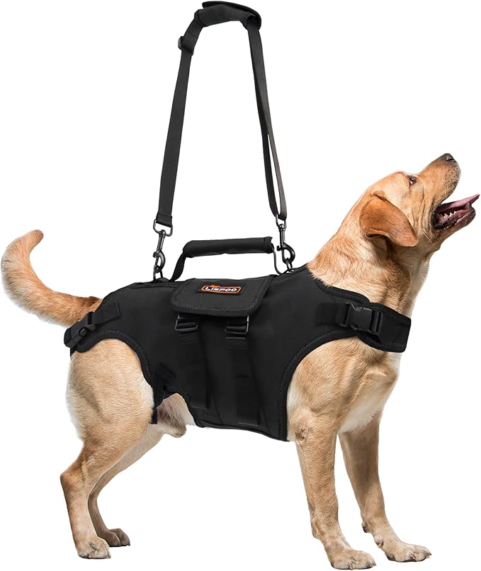 Dog Lift Harness, Full Body Support with Adjustable Control Handle for Senior Dogs, Post-Surgery Recovery & Joint Problems (Oxford Cloth, Custom Size)
