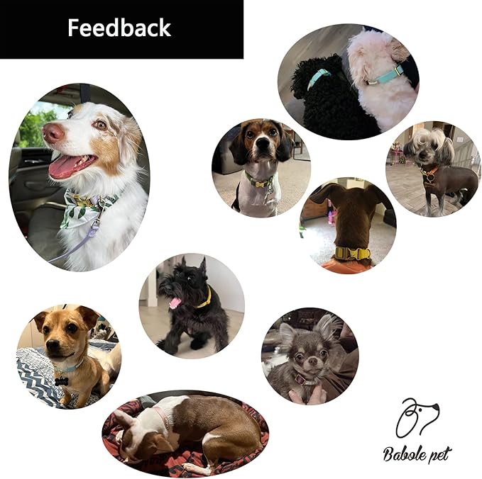 Nylon Dog Collar - Adjustable Red Soft Webbing Dog Collars for Small Medium Large Dogs Boy Girl Puppy Collar with Safety Metal Buckle XL