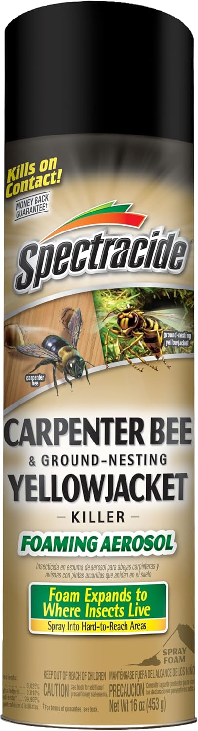 Spectracide Carpenter Bee and Ground Nesting Yellow Jacket Foaming Aerosol, 16-Ounce