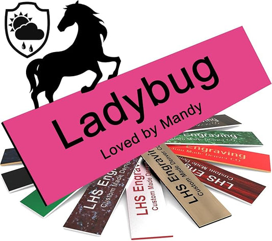 Personalized Horse Stall Name Plates, 2x12 Horse Stall Signs with Adhesive, All Weather UV Protected, Pink Plastic Black Letters - Made in USA - B12