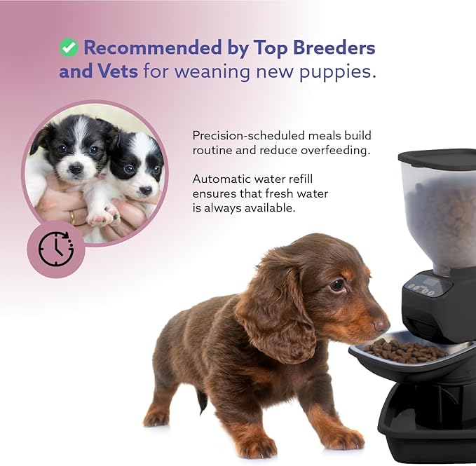 Automatic Dog & Cat Food Feeder with Water Dispenser – Smart Pet Feeder with Portion Control, OLED Display, Anti Jam Design, Battery Operated Dispenser for Small Pets - Black