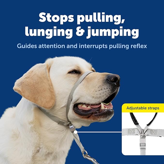 PetSafe Gentle Leader Headcollar No-Pull Dog Collar - Helps Improve Walks - Durable Nylon Construction - Padded Nose Loop - Adjustable Fit - Comfort Walking Halter - Small, Fawn