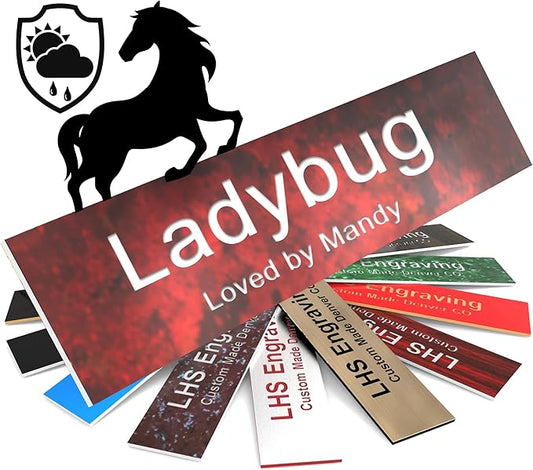 Personalized Horse Stall Name Plates, 2x10 Horse Stall Signs with Adhesive, All Weather UV Protected, Rustico Granite Plastic White Letters - Made in USA - S2